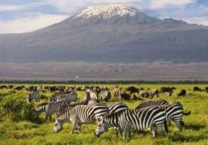 Mt Kilimanjaro Amboseli