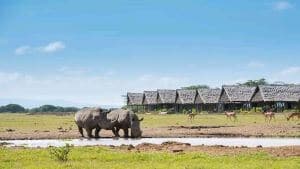 Serena Sweetwater's Tented Camp