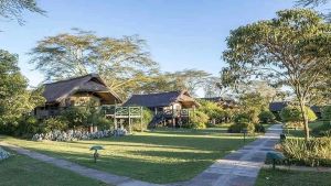 Sweetwaters Serena Tented Camp