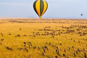 Masai Mara Balloon Safari Offer
